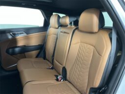 
 Kia Sportage full									