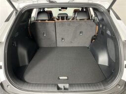 
 Kia Sportage full									