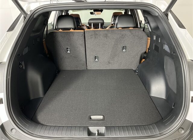 
 Kia Sportage full									
