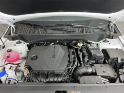 
 Kia Sportage full									