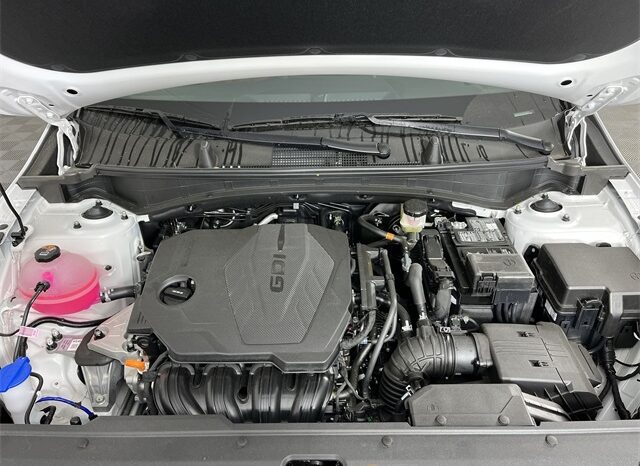 
 Kia Sportage full									