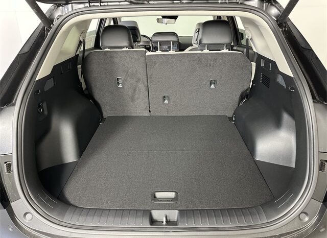
 Kia Sportage full									