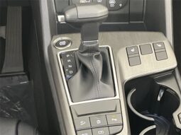 
 Kia Sportage full									