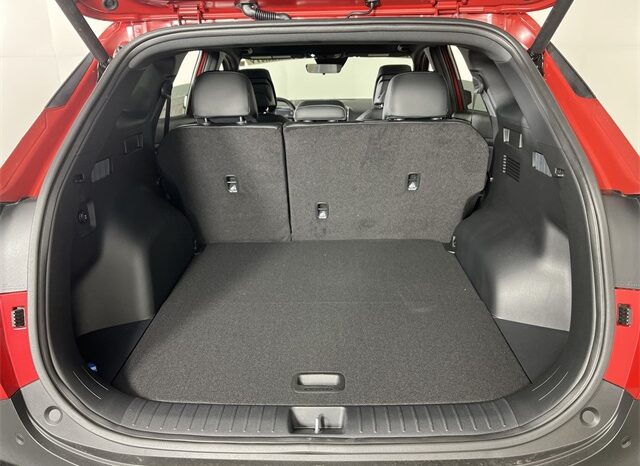 
 Kia Sportage full									