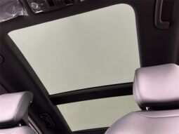 
 Kia Sportage full									