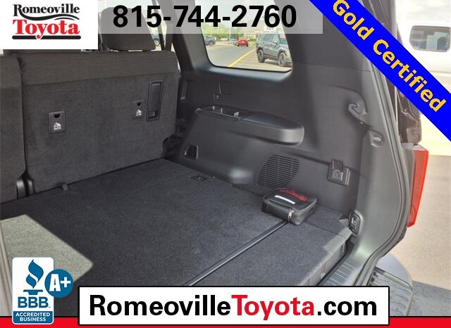 
 Toyota Land Cruiser full									
