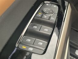 
 Nissan Pathfinder full									