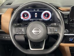 
 Nissan Pathfinder full									