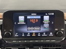 
 Nissan Pathfinder full									