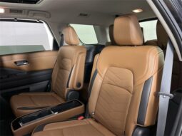 
 Nissan Pathfinder full									