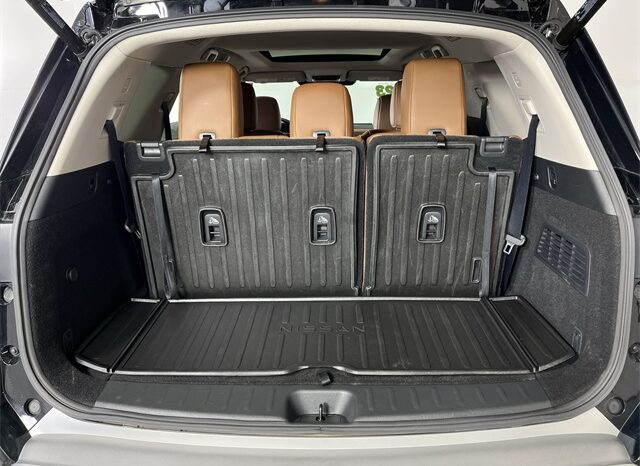 
 Nissan Pathfinder full									