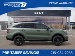 
 Kia Sorento full									