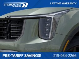
 Kia Sorento full									