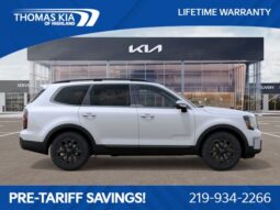 
 Kia Telluride full									