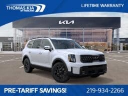 
 Kia Telluride full									