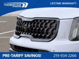 
 Kia Telluride full									