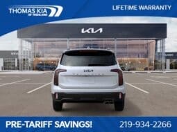 
 Kia Telluride full									