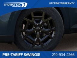 
 Kia Carnival Hybrid full									