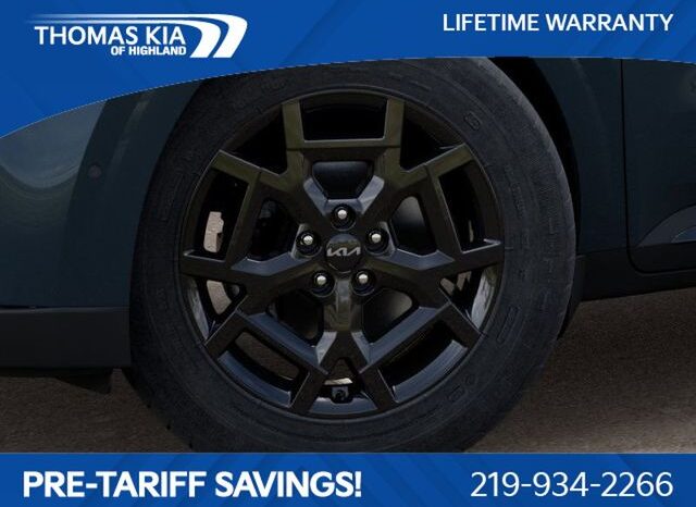 
 Kia Carnival Hybrid full									