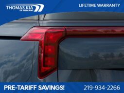 
 Kia Carnival Hybrid full									