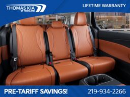 
 Kia Carnival Hybrid full									