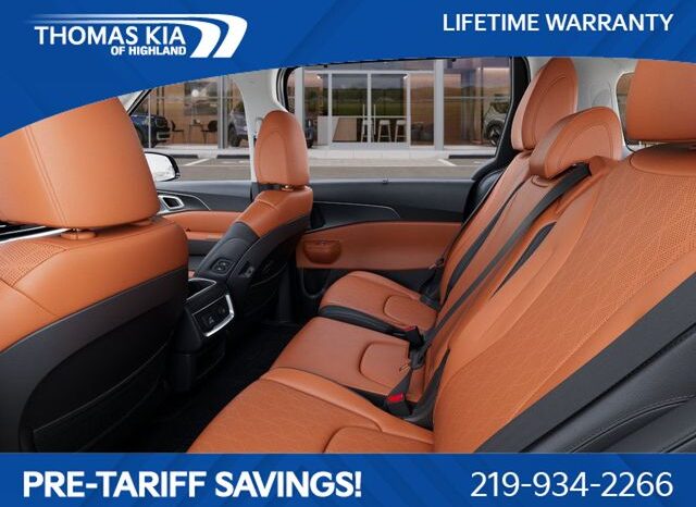 
 Kia Carnival Hybrid full									