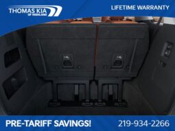 
 Kia Carnival Hybrid full									