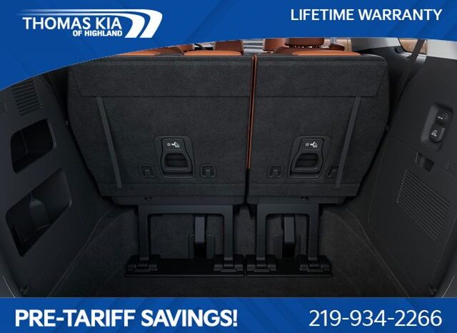 
 Kia Carnival Hybrid full									