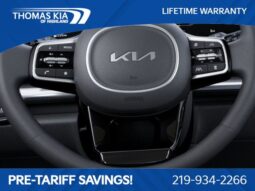 
 Kia Carnival Hybrid full									