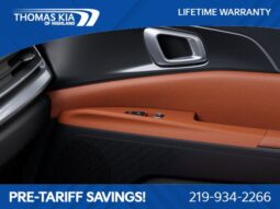 
 Kia Carnival Hybrid full									