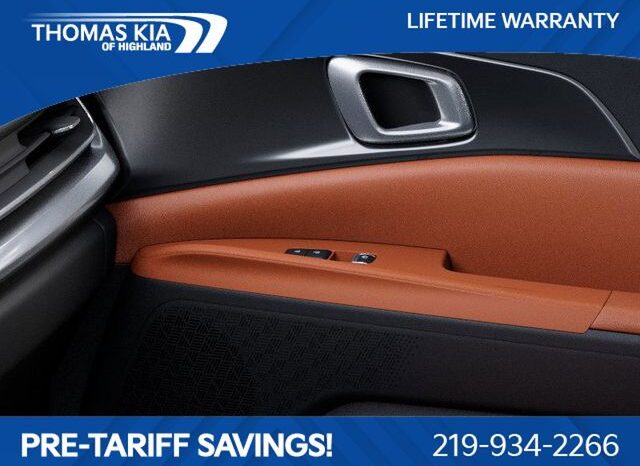 
 Kia Carnival Hybrid full									