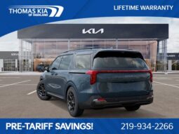 
 Kia Carnival Hybrid full									