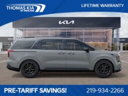 
 Kia Carnival full									
