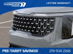 
 Kia Carnival full									