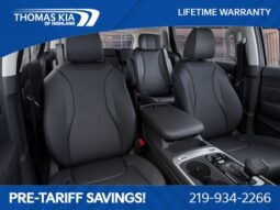 
 Kia Carnival full									