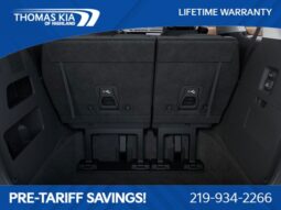 
 Kia Carnival full									