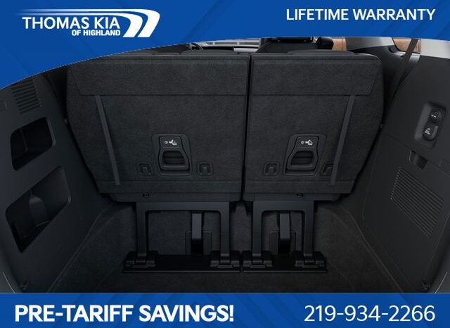 
 Kia Carnival full									