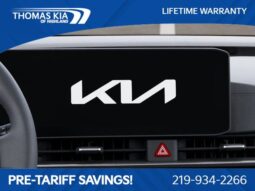 
 Kia Carnival full									