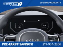
 Kia Carnival full									