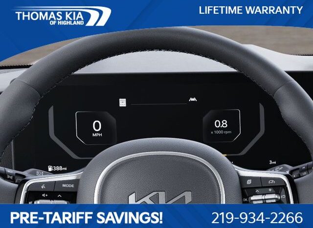 
 Kia Carnival full									
