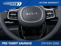 
 Kia Carnival full									