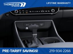 
 Kia Carnival full									