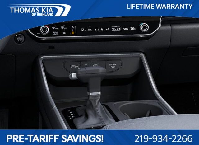 
 Kia Carnival full									