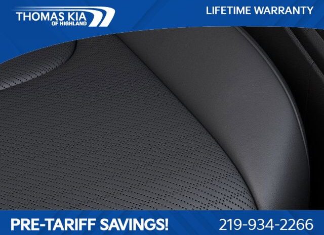 
 Kia Carnival full									