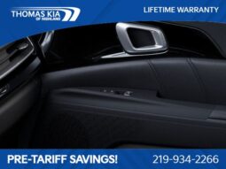 
 Kia Carnival full									
