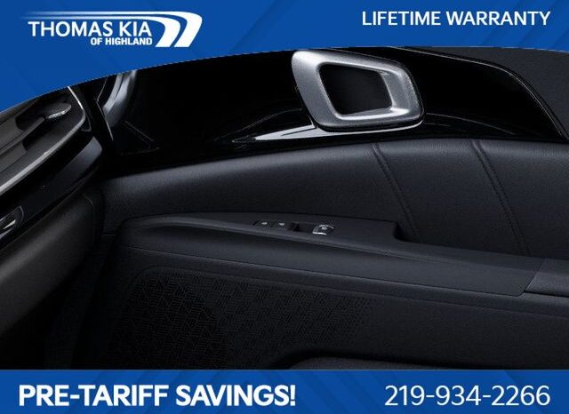 
 Kia Carnival full									