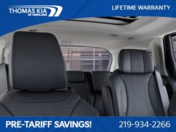 
 Kia Carnival full									