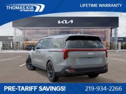 
 Kia Carnival full									