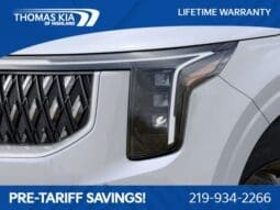 
 Kia Carnival full									