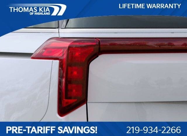 
 Kia Carnival full									